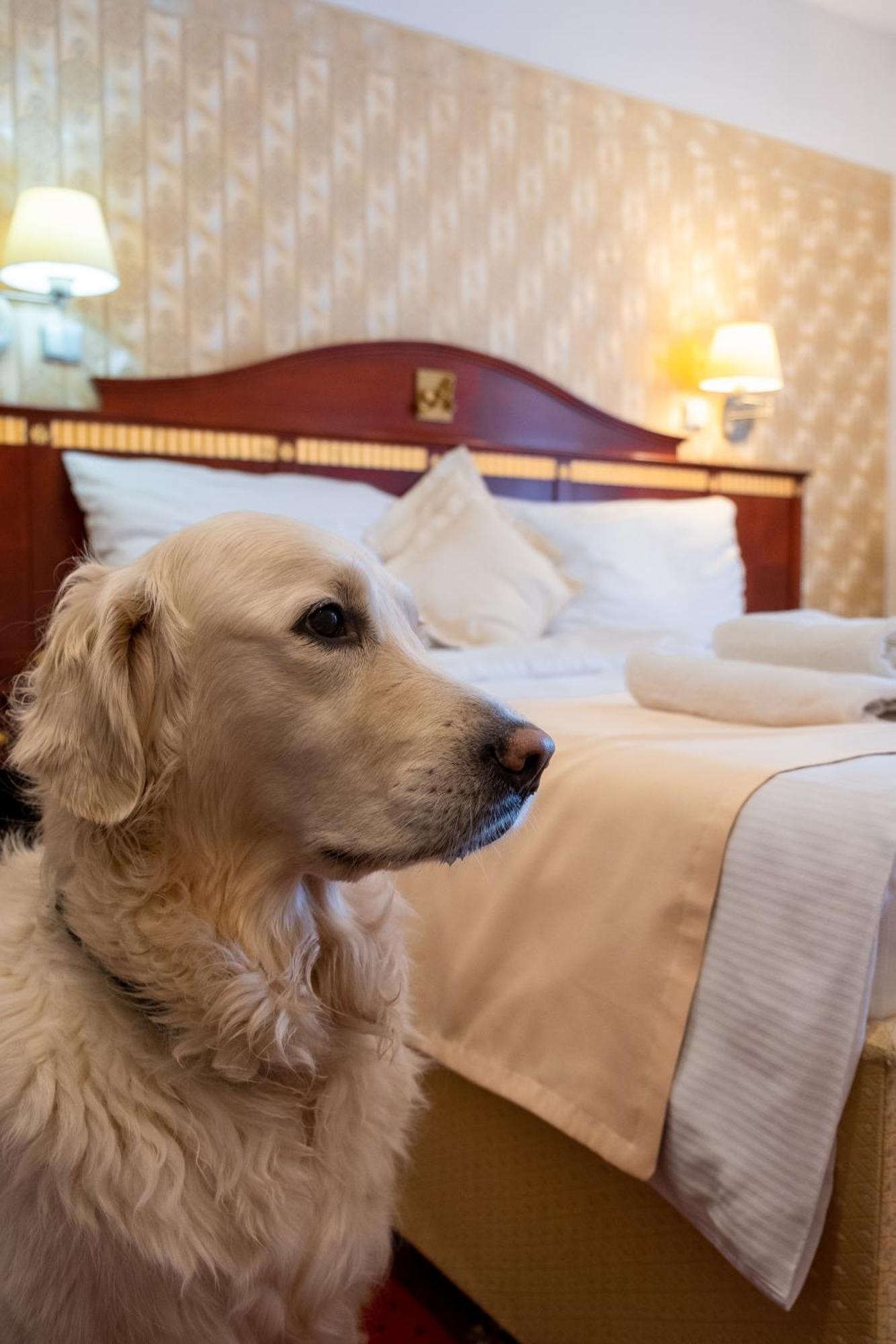 Hotel Tommy Wellness & Spa Náchod Eksteriør bilde